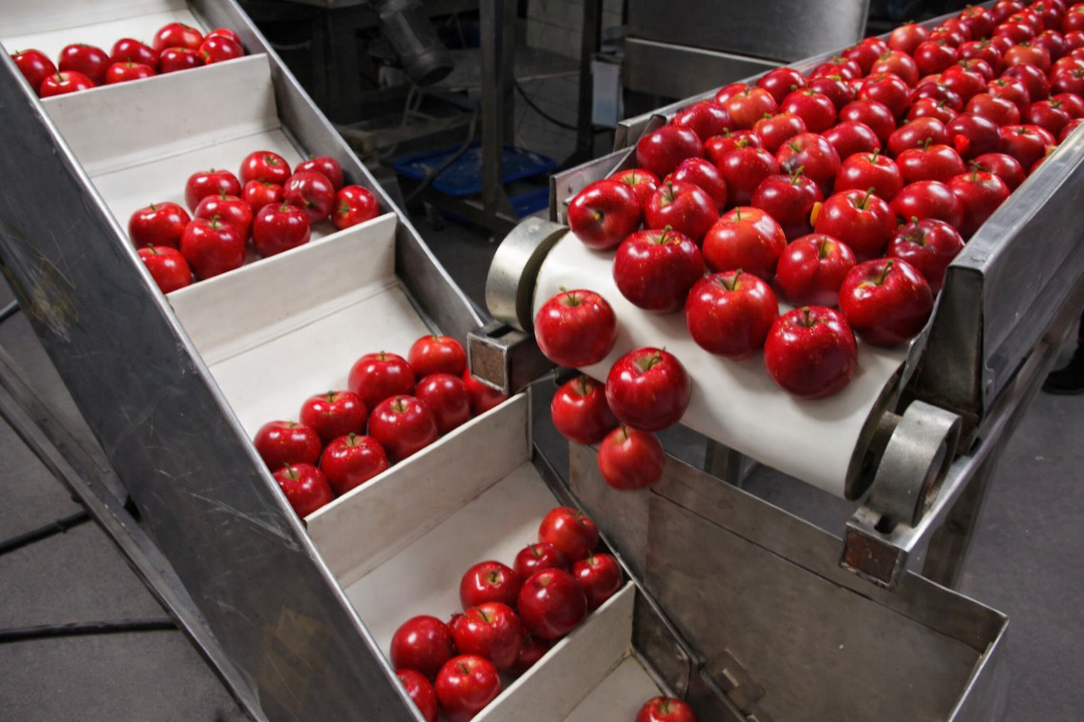 Cleat Conveyor Belt